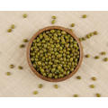 Mung Bean vs judía verde